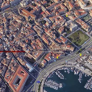 Betta Splendens Palermo